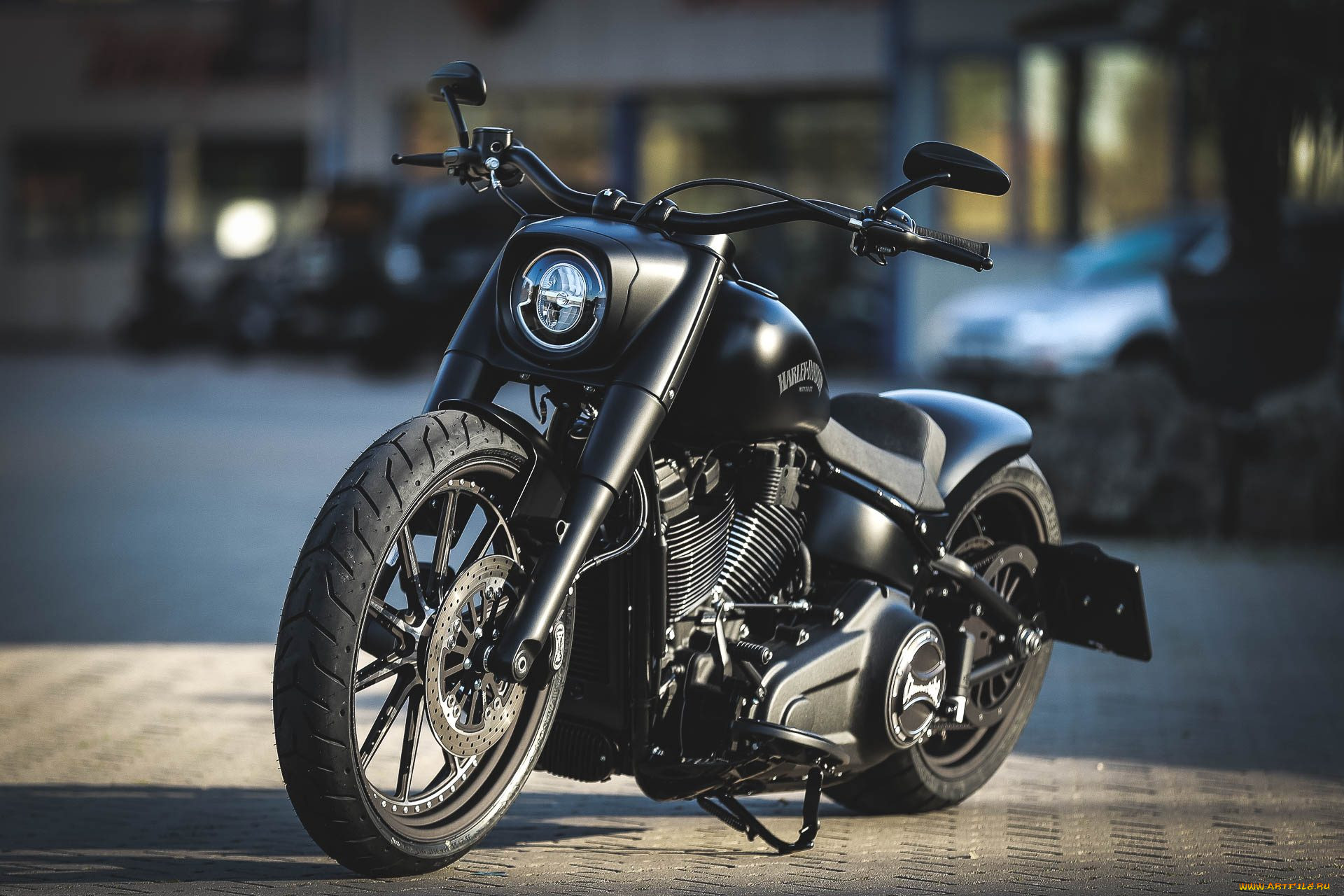 , , harley-davidson, , 